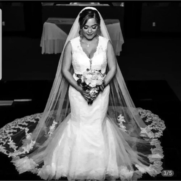 Beautiful Wedding Veil - Picture 6 of 14